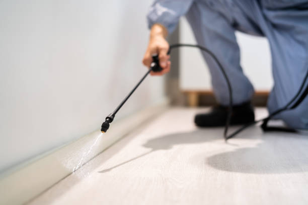 Licensed Termite Control service in Moraga, CA - Nex Pest Control
