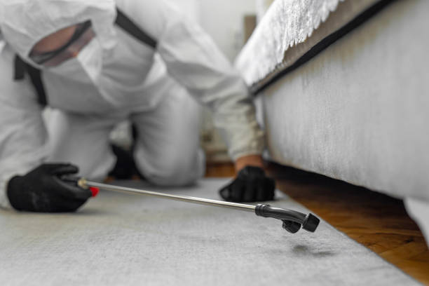 Professional Termite Control technician working in Moraga, CA