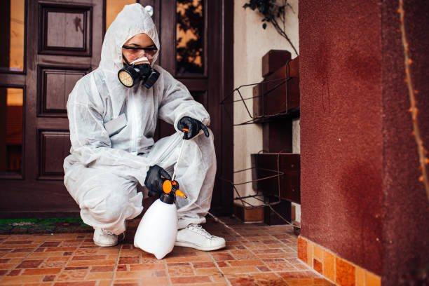 Reliable Termite Control contractor in Moraga, CA by Nex Pest Control
